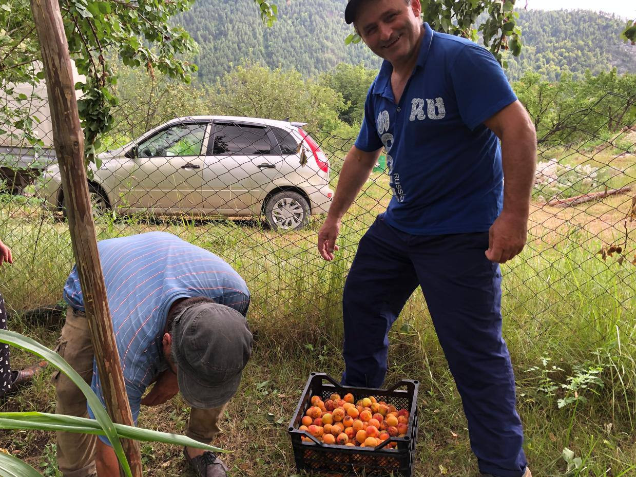 Оказание социальных услуг подопечному.