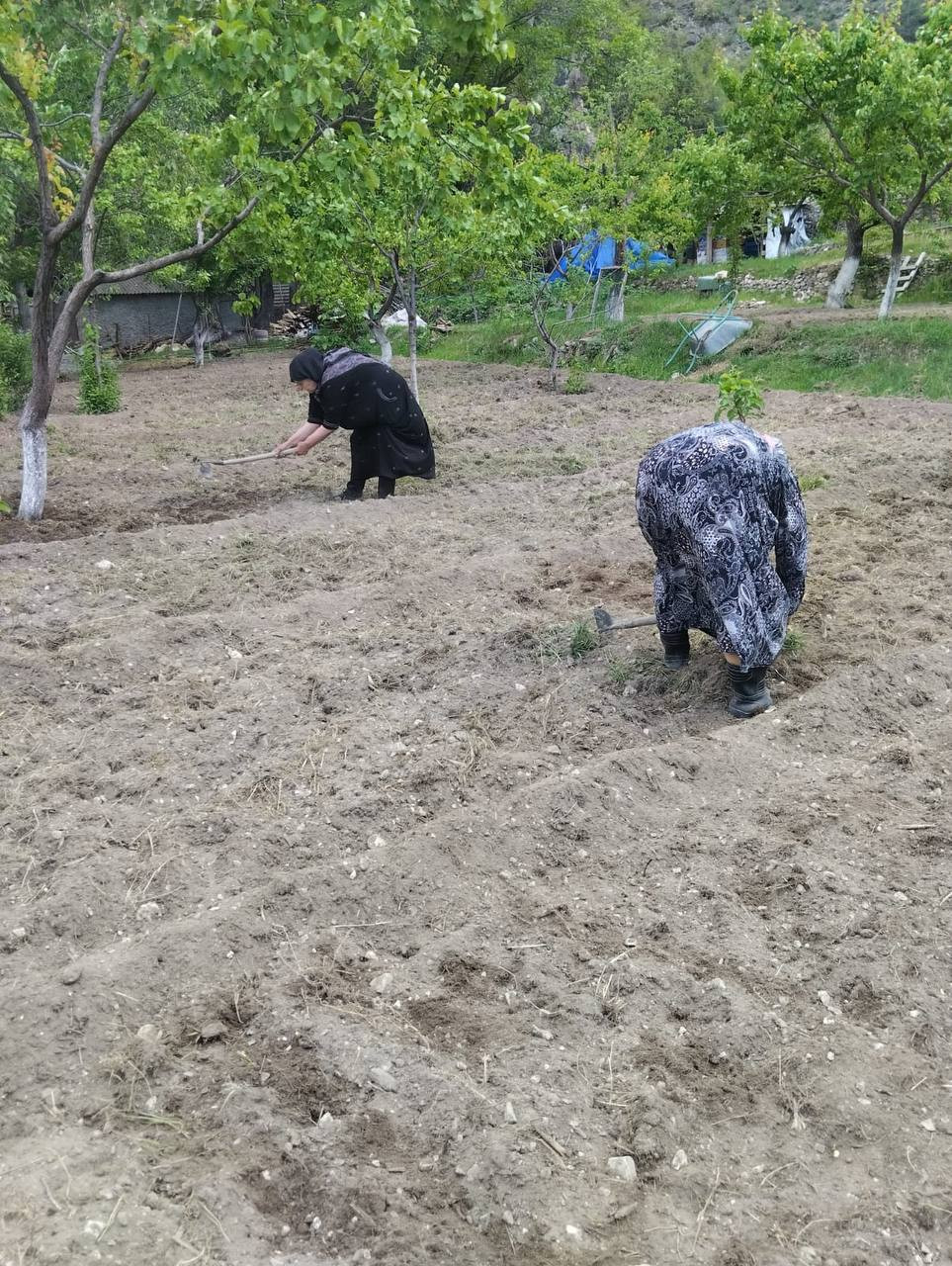 Оказание социально- бытовых услуг подопечным.