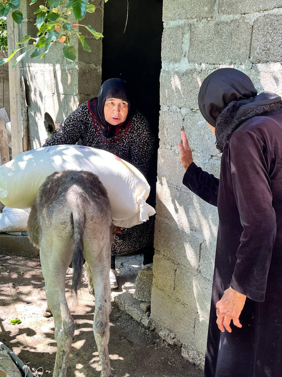 Социальный работник 1 отд. СО на дому , Напилунова Нужавгар из с. Читли оказала социальную бытовую услугу своим подопечным Абдулаевой Патимат и Малачиевой Айшат.